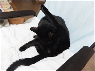 s-DSCF0713.jpg