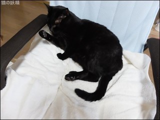 s-DSCF0730.jpg