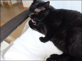 s-DSCF0731.jpg