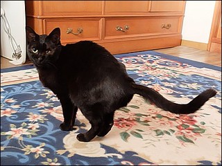 s-DSCF0771.jpg