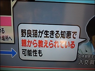 s-DSCF0786.jpg