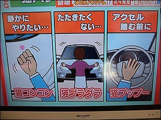 s-DSCF0788.jpg