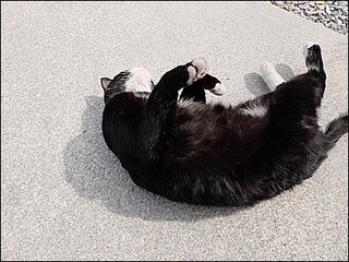 s-DSCF0793.jpg