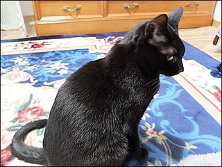 s-DSCF0797.jpg