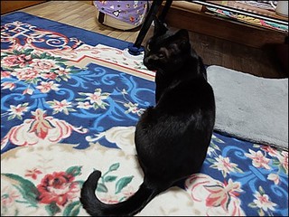s-DSCF0803.jpg