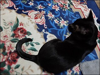 s-DSCF0806.jpg