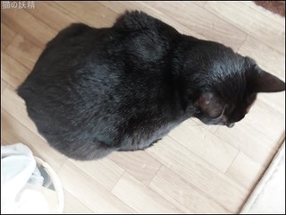 s-DSCF0807.jpg