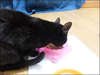 s-DSCF0925.jpg