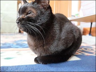 s-DSCF0957.jpg