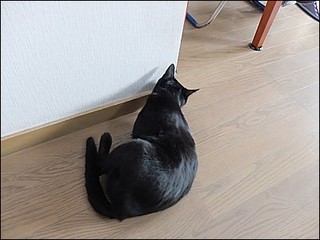 s-DSCF0961.jpg