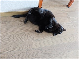 s-DSCF0965.jpg