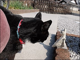 s-DSCF0992.jpg