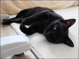 s-DSCF1035.jpg