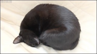 s-DSCF1095.jpg