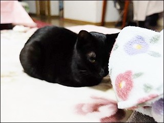 s-DSCF1159.jpg
