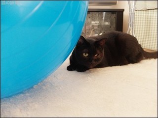 s-DSCF1178.jpg