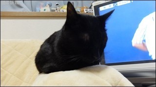 s-DSCF1179.jpg