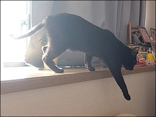 s-DSCF1183.jpg