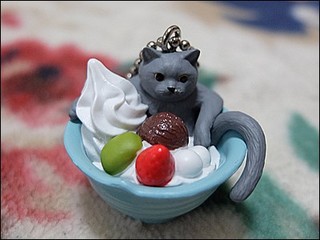 s-DSCF1239.jpg
