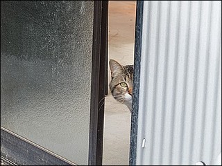 s-DSCF1240.jpg