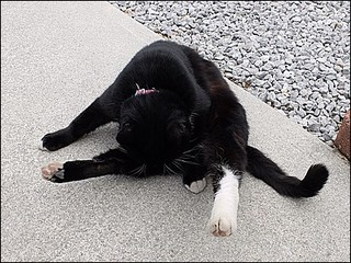 s-DSCF1251.jpg