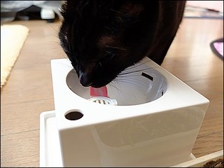 s-DSCF1260.jpg