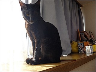 s-DSCF1266.jpg
