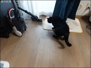 s-DSCF1277.jpg