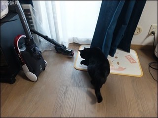 s-DSCF1278.jpg