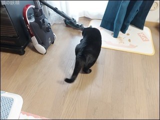 s-DSCF1282.jpg
