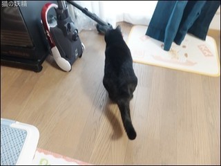 s-DSCF1284.jpg