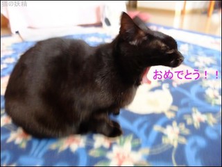 s-DSCF1322-0.jpg