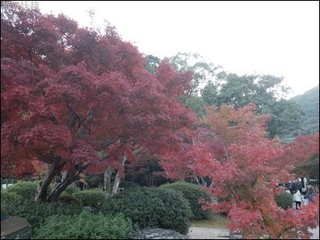 s-DSCF1325.jpg