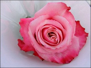 s-DSCF1345.jpg