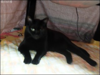 s-DSCF1415.jpg