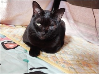 s-DSCF1423.jpg