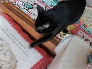 s-DSCF1436.jpg