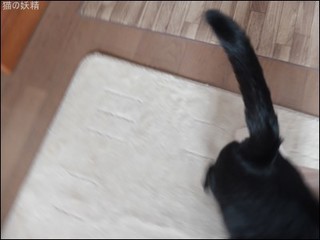 s-DSCF1501.jpg