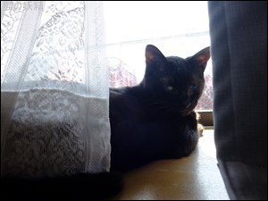 s-DSCF1502.jpg
