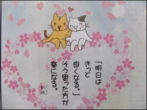 s-DSCF1523.jpg