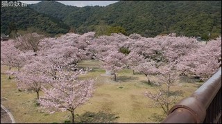 s-DSCF1539.jpg