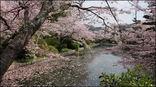 s-DSCF1549.jpg