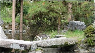 s-DSCF1574.jpg