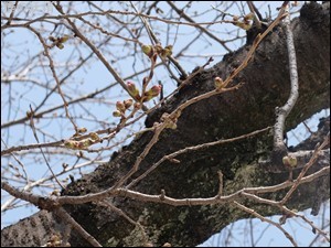 s-DSCF1581.jpg