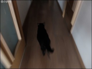 s-DSCF1587.jpg
