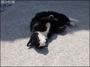 s-DSCF1612.jpg