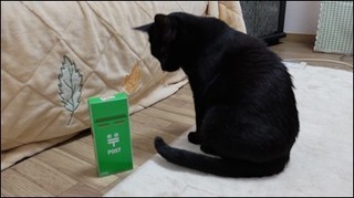 s-DSCF1638.jpg
