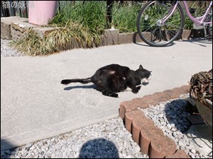 s-DSCF1643.jpg