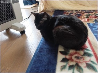 s-DSCF1728.jpg