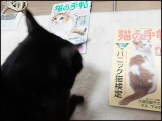 s-DSCF1763.jpg